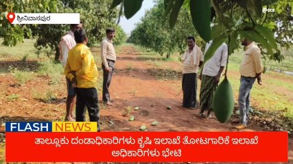 ಶ್ರೀನಿವಾಸಪುರ : ಬೆಳೆ ಹಾನಿ ಪ್ರದೇಶಗಳಿಗೆ ಅಧಿಕಾರಿಗಳು ಭೇಟಿ ಪರಿಶೀಲನೆ