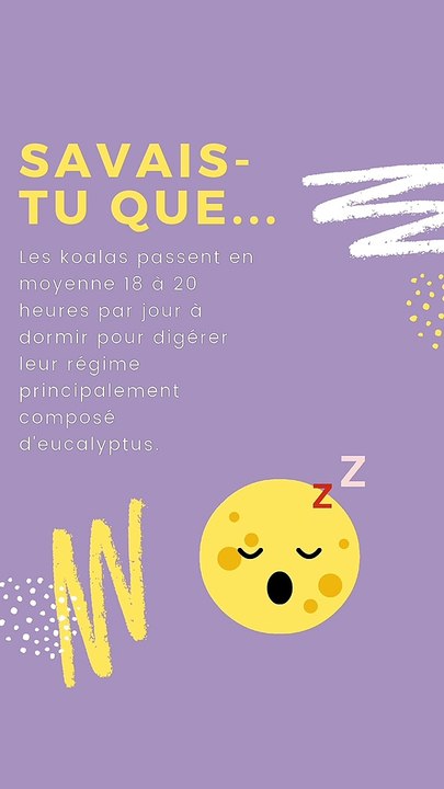 Sais-tu combien de temps dort un koala ?