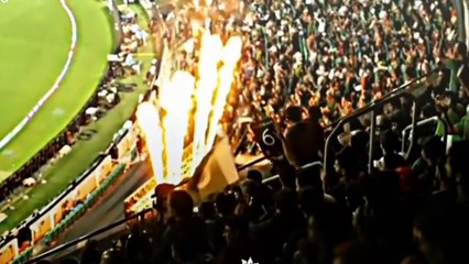 Good six by haris against newziland