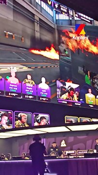 L'équipe française Vitality est championne de Counter Strike !!!