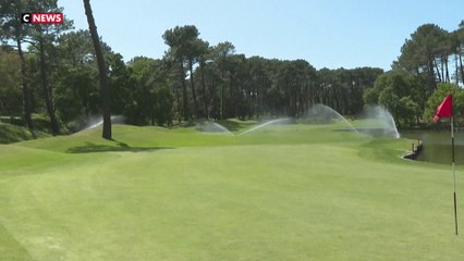 Sécheresse : les golfs se mettent au compte-gouttes
