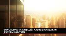 ZONGULDAK'TA AYRILDIĞI KADINI BIÇAKLAYAN ŞÜPHELİ ADLİYEDE