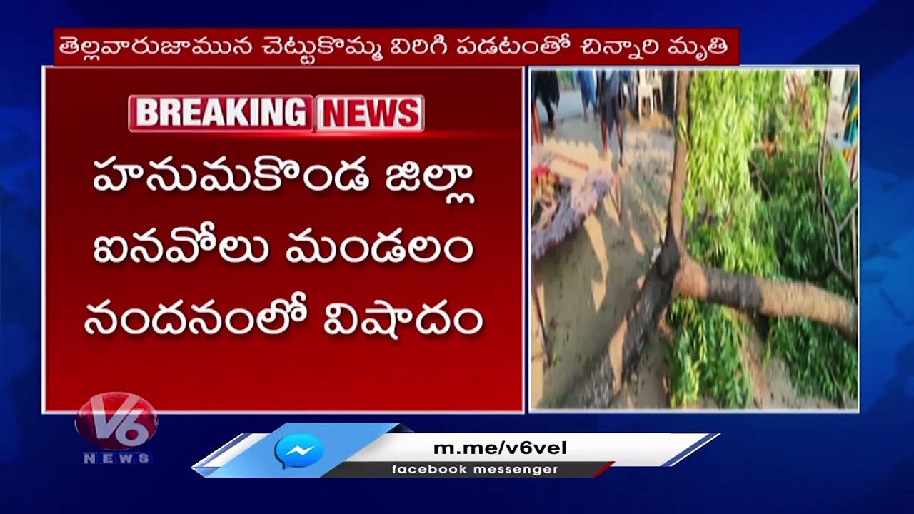 Tree branch Broken, Fell On Small Girl In Sleep Incident Happened At Hanamkonda _ V6 News