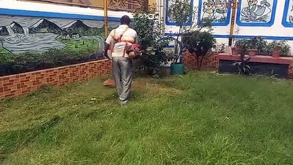 WEST BENGAL--पहले था उपेक्षित, अब आई हरियाली