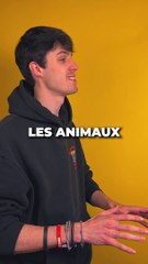 Un appart à Paris ou une place à Fleury ? 