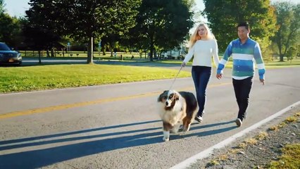 5 Most Expensive Treasures Discovered By Accident