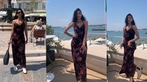 Cannes 2023 Red Carpet : Dolly Singh Wine Burnout Velvet Dress Price Reveal | Boldsky