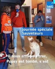 Journée spéciale sauveteurs ; sauvons Popsy le chien