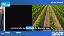 Marion Cotillard fait sensation à Cannes avec sa transformation : les rumeurs de chirurgie esthétique vont bon train ! (Vidéo)