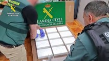 Incautados en Ávila doce kilos de cocaína, algunos con el sello de autenticidad de la organización criminal más peligrosa de México
