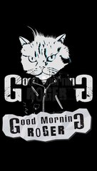 Some Nights cover (fun.) - Good Morning Roger