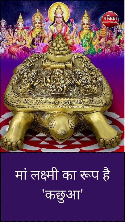World Turtle Day