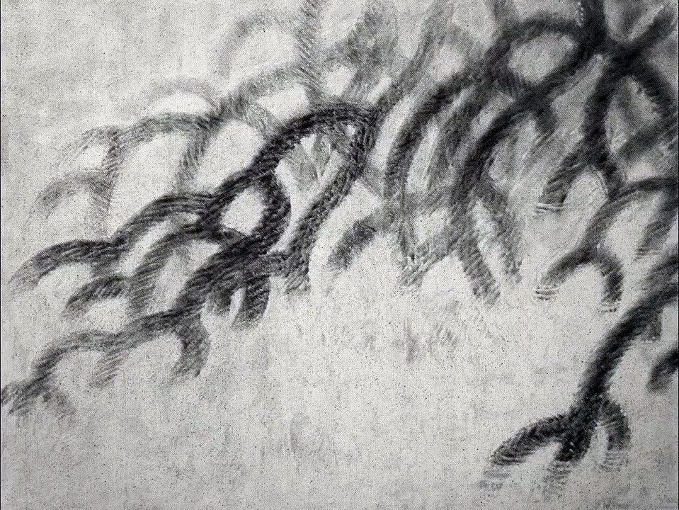 La Saison pourpre Bande-annonce VO