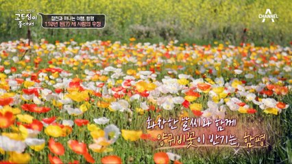 함평에서 60년 지기 친구 가수 '은희'를 만난 두심! 은희 씨 기억 속의 두심은?!