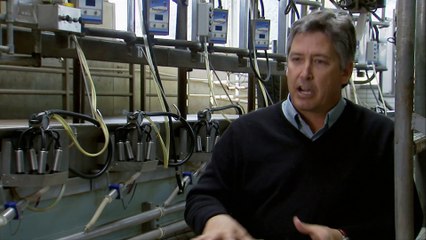 Life After People - Armed and Defenseless