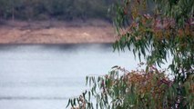 Los embalses de Andalucía continúan perdiendo agua pese a las últimas lluvias y caen al 25,9%