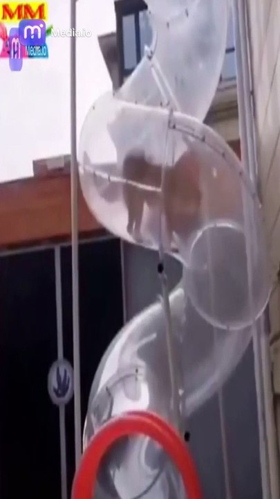 التسلية بأبهى صورها تجربة تحدى الضحك المرحة بمؤثرات ساحرة