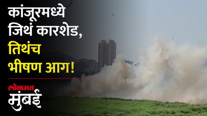 कांजूरमार्गमध्ये जिथं मेट्रोची कारशेड होणार होती, तिथं भीषण आग | Fire Near Kanjurmarg Metro Car Shed