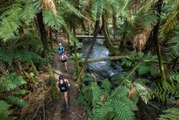 2023 Tarawera Ultra Marathon by UTMB | Race Highlights