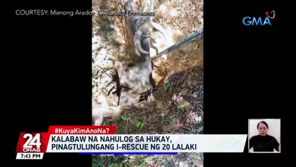 Kalabaw na nahulog sa hukay, pinagtulungang i-rescue ng 20 lalaki | 24 Oras