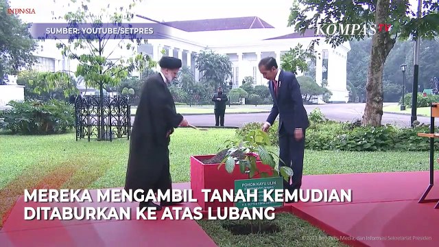 Jokowi dan Presiden Iran Tanam Pohon Kayu Ulin di Istana Bogor