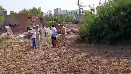 Download Video: घर में घुसे एक चोर को पीट-पीटकर मार डाला, फायरिंग कर तीन भागे