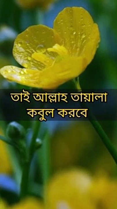 এই দোয়া পরে আল্লাহর কাছে দোয়া যা চাইবেন তাই কবুল করবেন  ইনশাআল্লাহ