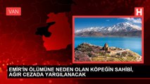 EMİR'İN ÖLÜMÜNE NEDEN OLAN KÖPEĞİN SAHİBİ, AĞIR CEZADA YARGILANACAK