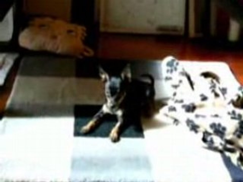 Fanny, 3 mois joue avec ses jouets