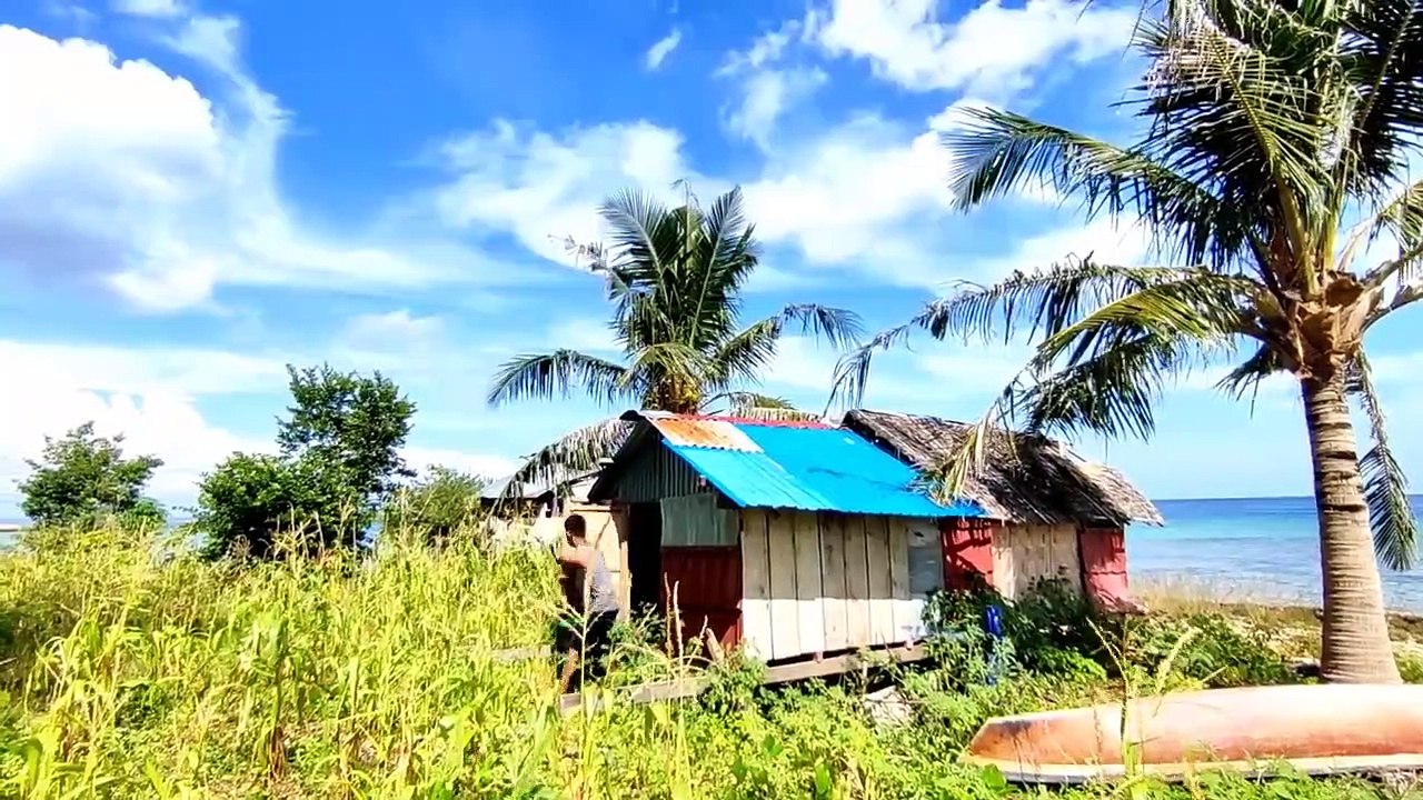 Survive in the wonderfull island
