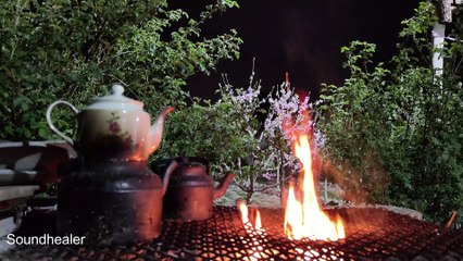NIGHT time GARDEN Healing fire sound