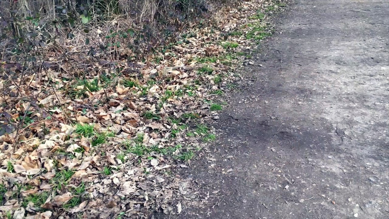 un Drone de perdu des manifs de trouvées