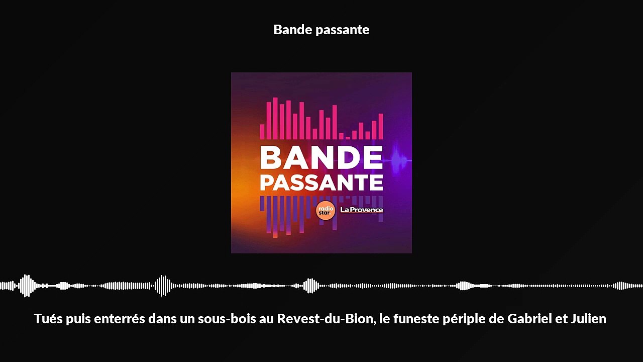 Tués puis enterrés dans un sous-bois au Revest-du-Bion, le funeste périple de Gabriel et Julien