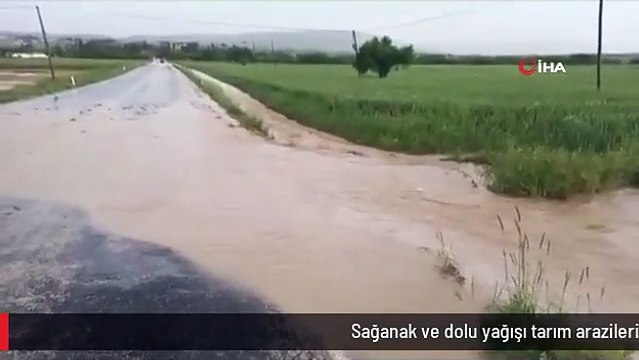 Sağanak ve dolu yağışı tarım arazilerini vurdu