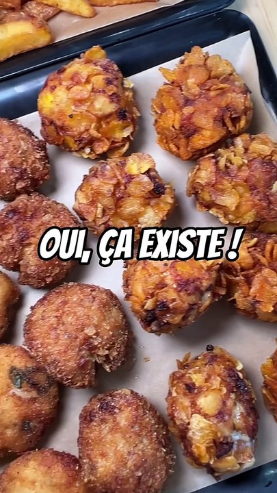 Le PARADIS des NUGGETS