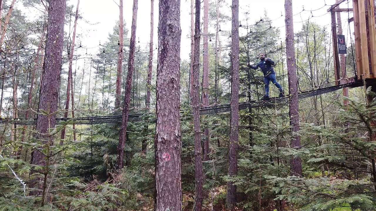 Un petit avant-gout du parcours "Dans la peau d'un singe" de la Montagnes des singes de Kintzheim