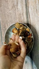 #shorts हज़ारो वाला पाउडर घर पर ही बनाए beauty kitchen tips