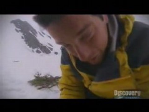 Bear Grylls mange un poisson