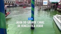 Água do Grande Canal de Veneza fica verde