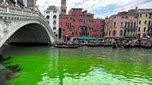 Water in Venice’s Grand Canal turns fluorescent green