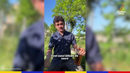 5 choses à ne pas jeter et à réutiliser pour la croissance de ses plantes  l Speech