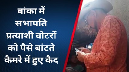 बांका में सभापति प्रत्याशी का वोट के लिए पैसा बांटने का वीडियो वायरल, देखें वीडियो