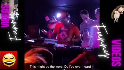 068 Laugh Out Loud Hilarious Videos Guaranteed to Make You Smile