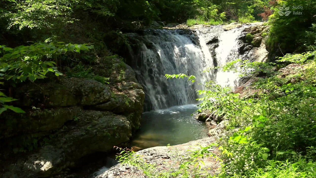 Enchanting Forest Oasis: 1 Hour of Serene Nature Sounds - Hidden Waterfall
