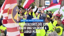 Agricultores de Europa Central y del Este protestan en Bruselas por la crisis del grano ucraniano