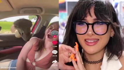 Tik Toks That Ended In Disaster