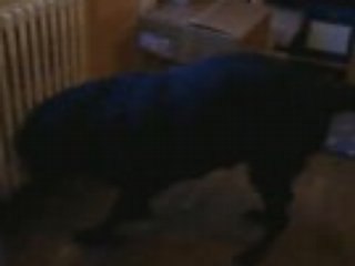 Chloé et son ballon de baudruche