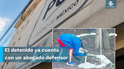 Por estos delitos investiga la Fiscalía CDMX a sujeto que echó cemento al Ahuehuete