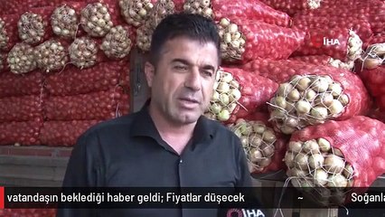 Soğanla ilgili vatandaşın beklediği haber geldi: Fiyatlar düşecek