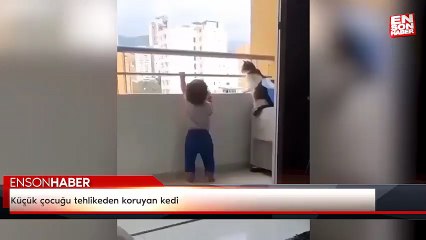 Küçük çocuğu tehlikeden koruyan kedi